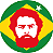 Botton Lula Bandeira Verde - Imagem 1