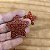 Brinco Estrela Glitter - Grande - Imagem 1