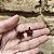 Brinco Estrela Glitter - Pequeno - Imagem 3