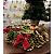 Coroa do Advento Suporte Porta Vela Pinhas Douradas Bolas Vermelhas Decoracao Natal Premium - Imagem 2
