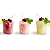 Base Em Pó Para Frozen Raspadinha Granita 1Kg Granitina Fabbri 1905  Bar Drinks - Imagem 3