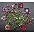 Fleurs sauvages au crochet - version granny - Imagem 10