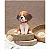 Chiens et chats au crochet - Imagem 8