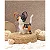 Chiens et chats au crochet - Imagem 15