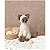 Chiens et chats au crochet - Imagem 9