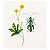 Insectes & plantes en peinture à l'aiguille - Imagem 6