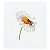 Insectes & plantes en peinture à l'aiguille - Imagem 2