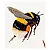 Insectes & plantes en peinture à l'aiguille - Imagem 18
