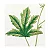 Insectes & plantes en peinture à l'aiguille - Imagem 12