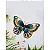 Introduction à la Broderie blanche + transfert - Imagem 13