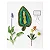 Broderie botanique textile - Imagem 19