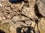 Pedra Caverna  - venda por quilo (retirada e entrega) - Consulte o frete - Imagem 2