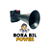 Buzina Eletronica BORA BIL - POWER - Imagem 1