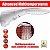 Ducha Advanced Multitemperaturas 220V 7500W Lorenzetti - Imagem 3