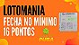 Planilha Lotomania - Esquema com 65 Dezenas Combinadas - Imagem 2