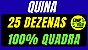 Planilha Quina - Esquema com 25 Dezenas e Garantia de Quadra - Imagem 2
