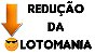 Planilha Lotomania - Esquema De Redução De Dezenas - Imagem 3