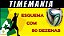 Planilha Timemania - Esquema 80 Dezenas Com Redução - Imagem 2