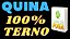 Planilha Quina - Jogue com 3 Grupos de 13 Dezenas Fechando Terno - Imagem 3