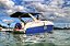 Lancha Singular 290 Motor Mercruiser 300hp - 2016 - Imagem 1