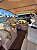 Lancha Real 344 Luxury  2x volvo KAD43 - 230HP (2005) - Imagem 8