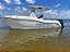 Lancha SEDNA 240 - 2x Mercury 150HP, 4 tempos (2016) - Imagem 1
