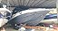 Lancha: NX 280 -  Mercruiser 300hp (2022) - Imagem 2