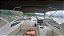 Lancha: REAL 275 - 1X MERCRUISER 4.5 250 HP B3 (2020) - Imagem 5
