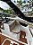 Lancha: FOCKER 255 GTO - 1x Mercruiser 4.5L 250 HP Alphaone (2023) - Imagem 3