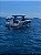 Lancha: TRITON 380 FLY - 2X Mercury Verado 400HP (2024) - Imagem 2