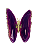 BORBOLETA PARA DECORAÇÃO EM ÁGATA - Imagem 1
