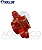 0146-0022 ENGRENAGEM 06 DENTES MOVIDA 30 MM SPANDER (SOLLUS) - Imagem 1