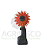 PP-6427-24012VSET2 EXPULSOR P/ DISCO DE BRACHIARIA / GERGELIM  240 FUROS SIST. VSET2  C/ MOLA - PRECISION PLANTING CT14D - Imagem 2