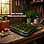MUSGO FOFÃO VIVO BIG MOSS – CAIXA GRANDE 33x33x7cm - Imagem 3