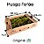 Musgo Fofão Kit 5 Caixas - Imagem 3