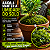 KIT COM 5 CAIXAS DE MUSGO FOFÃO VIVO BIG MOSS – 33x33x7cm - Imagem 8