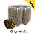10kg Musgo Verde Tipo Graminha kit 2 pcts de 5kg - Imagem 1