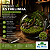 KIT COM 5 MUSGOS ESTRELINHA VIVOS BIG MOSS - Imagem 3