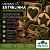 KIT COM 5 MUSGOS ESTRELINHA VIVOS BIG MOSS - Imagem 12