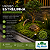 KIT COM 3 MUSGOS ESTRELINHA VIVOS BIG MOSS - Imagem 8