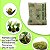 05kg Musgo Verde Tipo Graminha Kit 5 pcts 1kg - Imagem 2