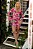 vestido tule aisha off - Imagem 2