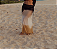 saia tule oasis - Imagem 1