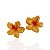 Par Mini Piranhas Flor - Imagem 7