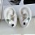 Trio Brincos Folheado Prata 925 Trevo - Imagem 2