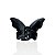 Piranha Borboleta - Imagem 1