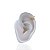 Piercing Aço Inoxidável Dourado e Prata Tragus Borboleta Cravejada - Imagem 2