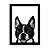Quadro Decorativo Cachorro Boston Terrier - Imagem 1
