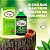 Divinus Chá – 500 ml - Imagem 2