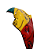 Paralama Diant. Titan 160 Fan 160 - Reggae - Imagem 1